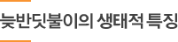 ʹݵ  Ư¡