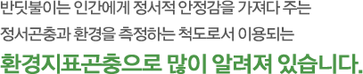 ݵ̴ ΰ    ִ  ȯ ϴ ôμ ̿Ǵ ȯǥ  ˷ ֽϴ. 